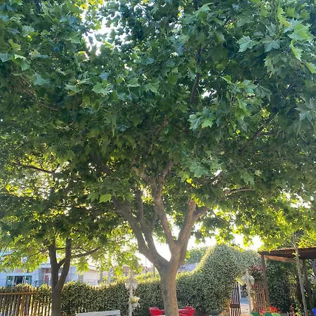 Campsite Camping Ishull-lezha